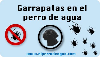Cómo eliminar garrapatas en perro de agua